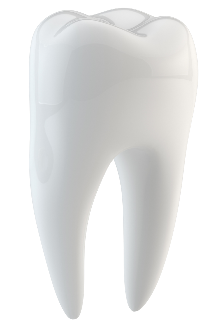 A polished, white tooth model with realistic texture, standing upright against a black background, conveying dental health and cleanliness.